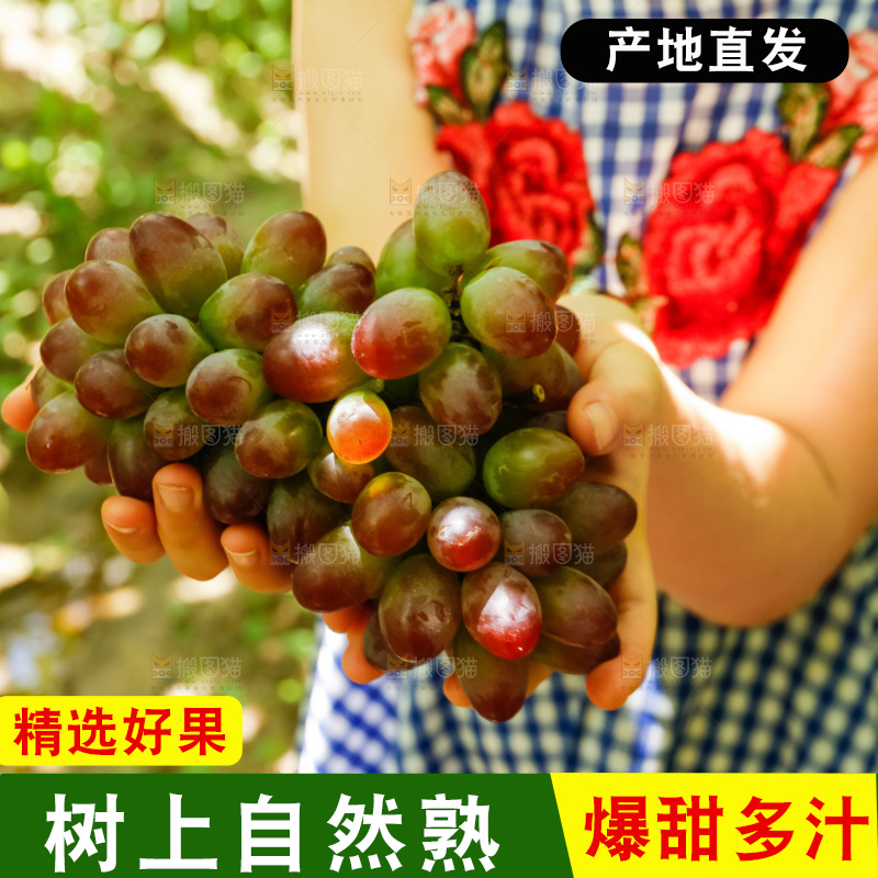 手里拿着茉莉香葡萄
