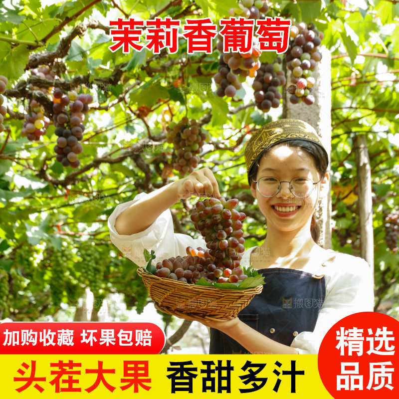女孩拿着茉莉香葡萄