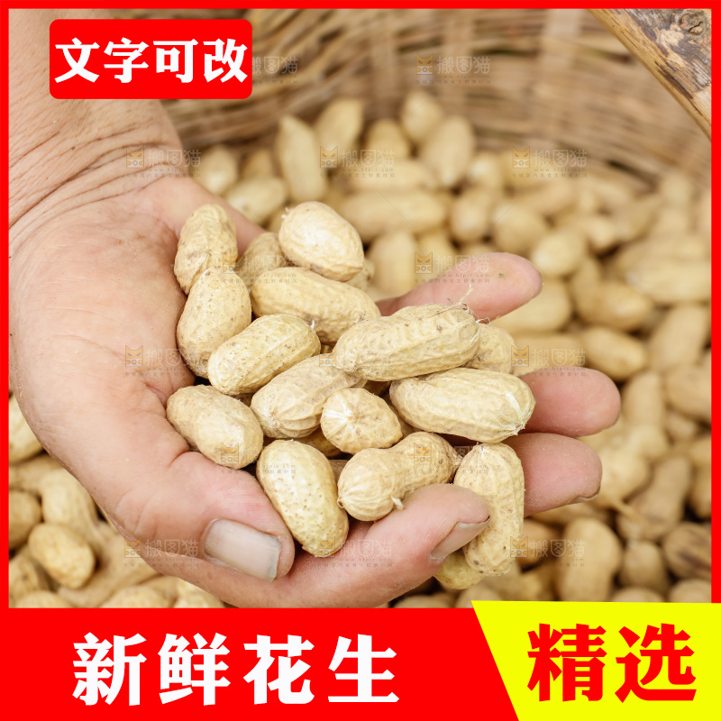 手里的拿着带壳花生