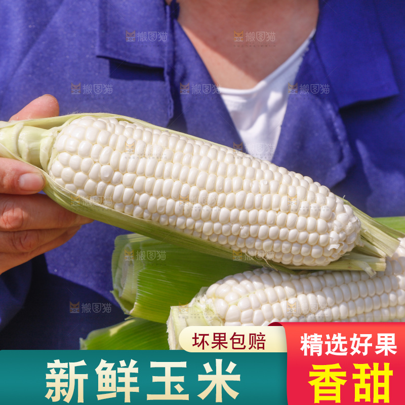 手里拿着牛奶水果玉米