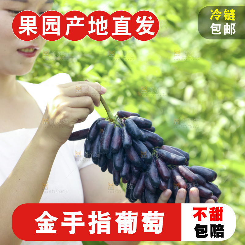 女孩手里拿着美人指葡萄