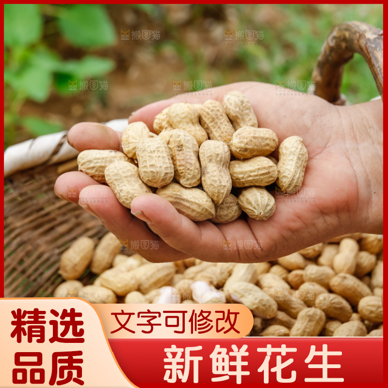 手里的拿着带壳花生