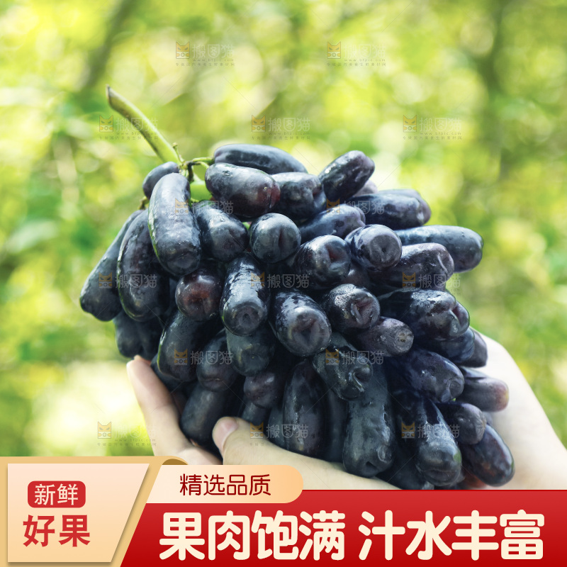 手里拿着一串蓝宝石葡萄