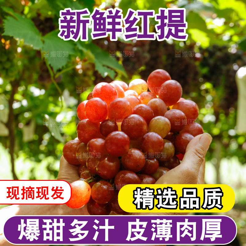 手里拿着红提葡萄