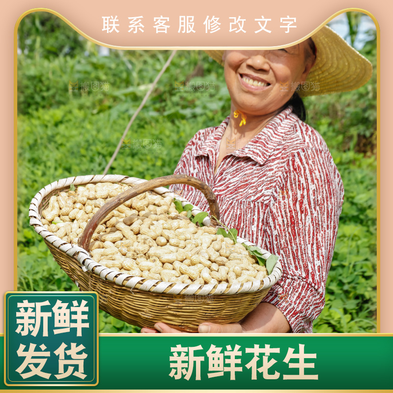 农民抱着一筐新鲜花生