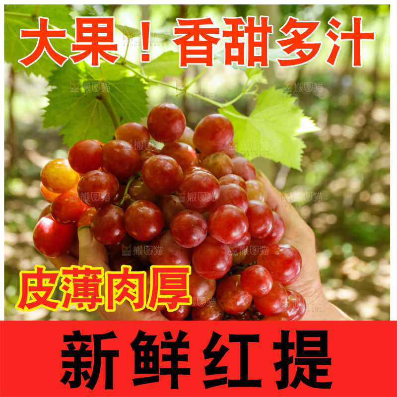 手里拿着红提葡萄