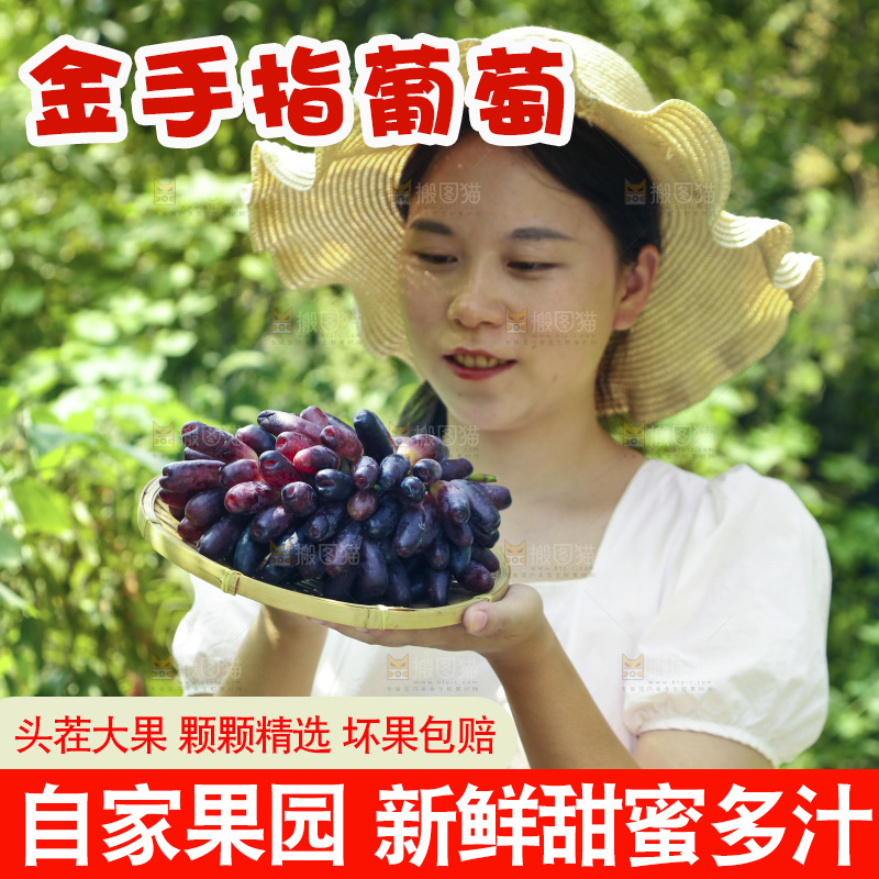 女孩手里的一篮美人指葡萄