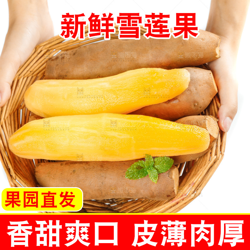 手里拿着一篮雪莲果