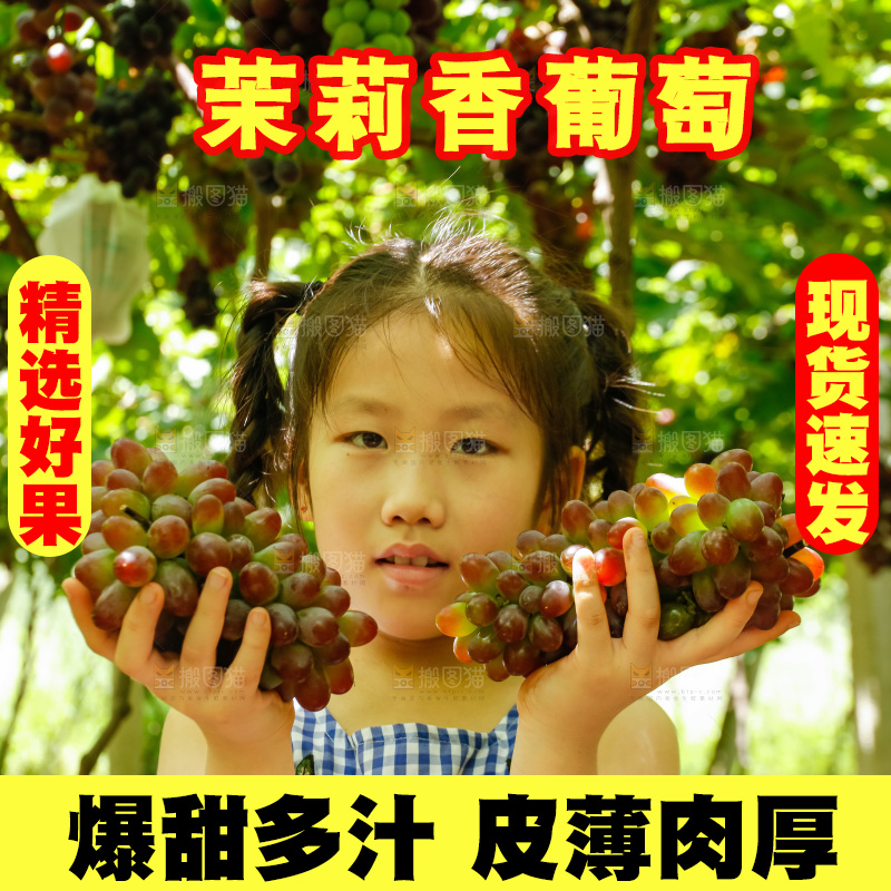 女孩手里拿着茉莉香提子