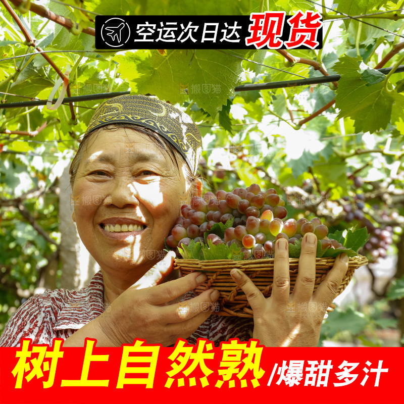 农民拿着一篮茉莉香红提