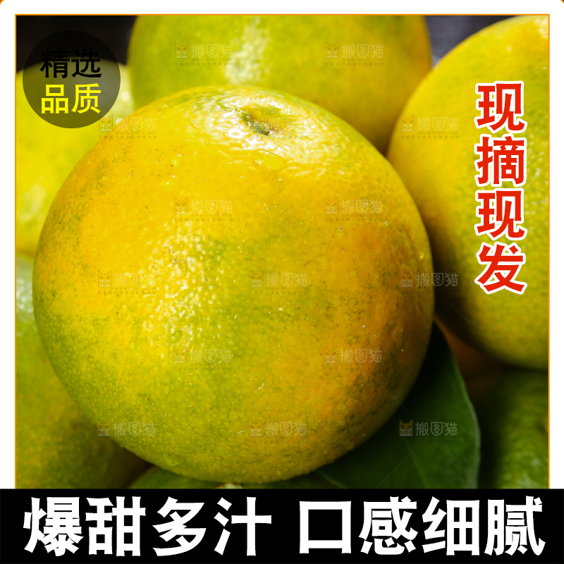 堆放着的爱媛果冻橙