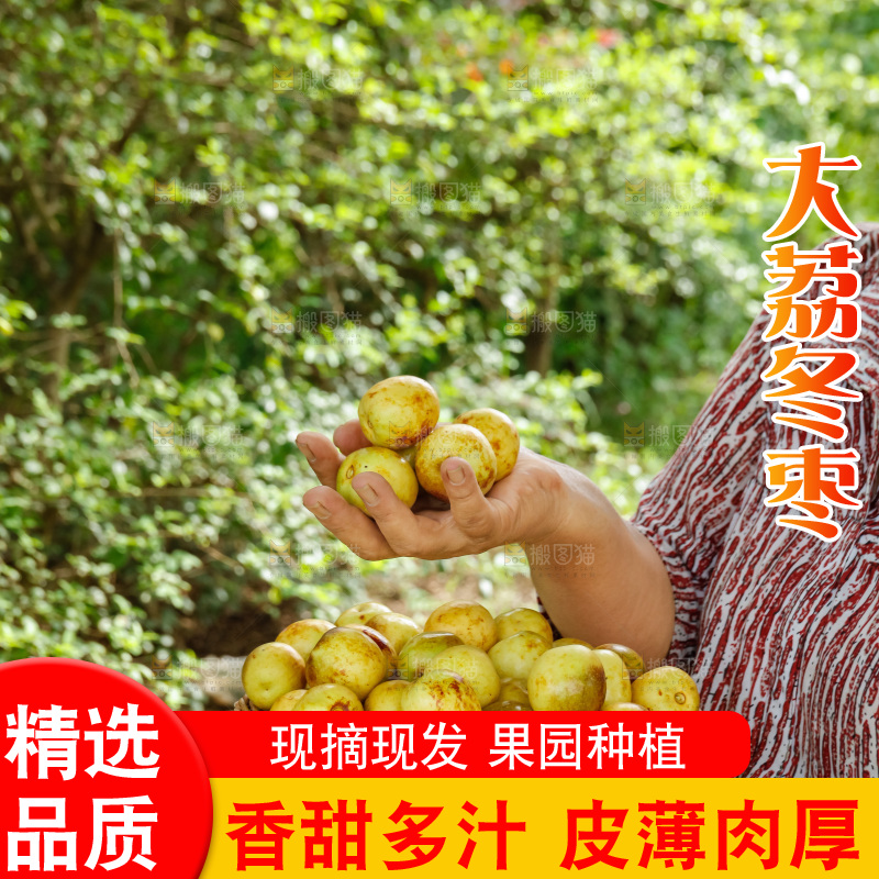 手里拿着大荔冬枣