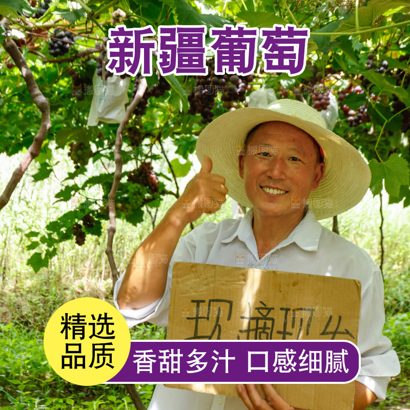 农民站在葡萄藤下