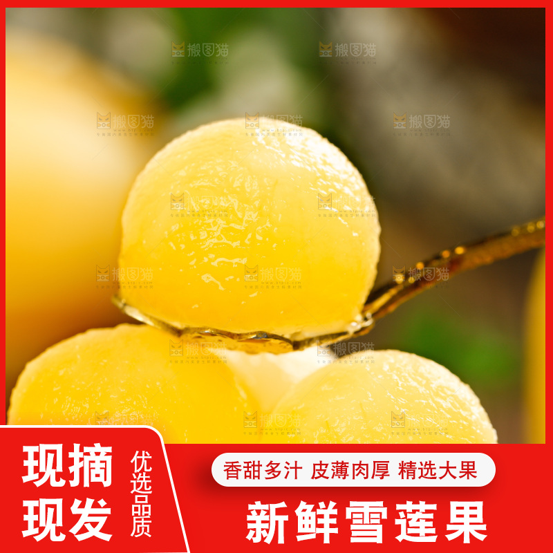 勺子上的雪莲果果肉