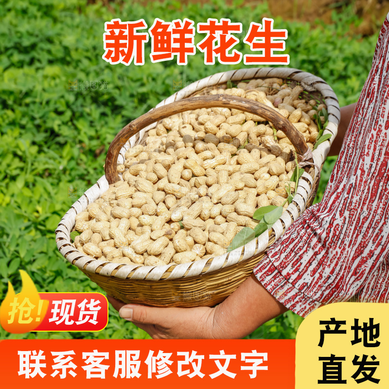 手里抱着一筐新鲜花生