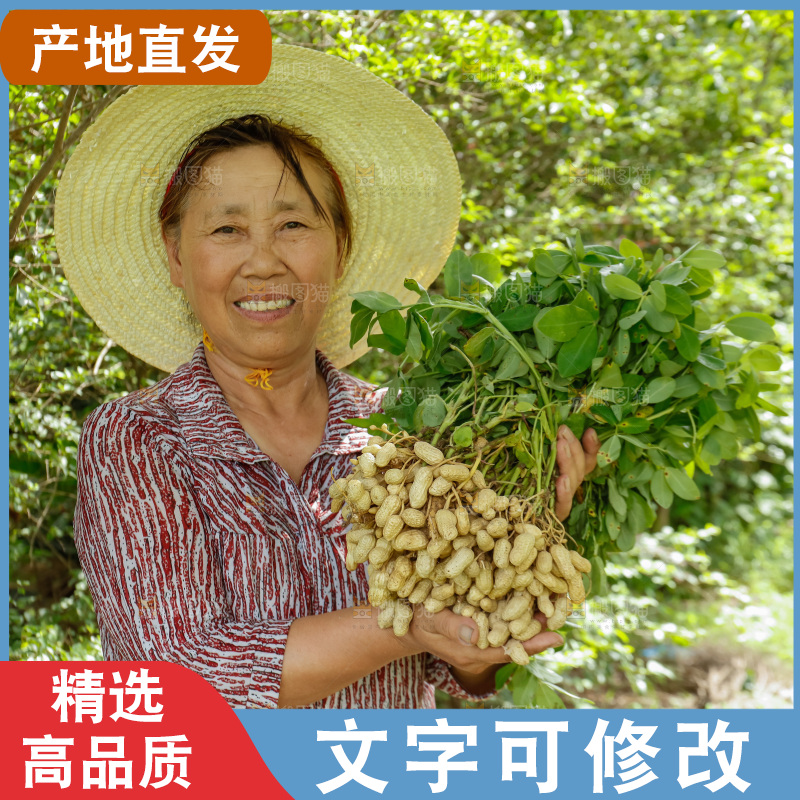 农民手里抱着新鲜花生