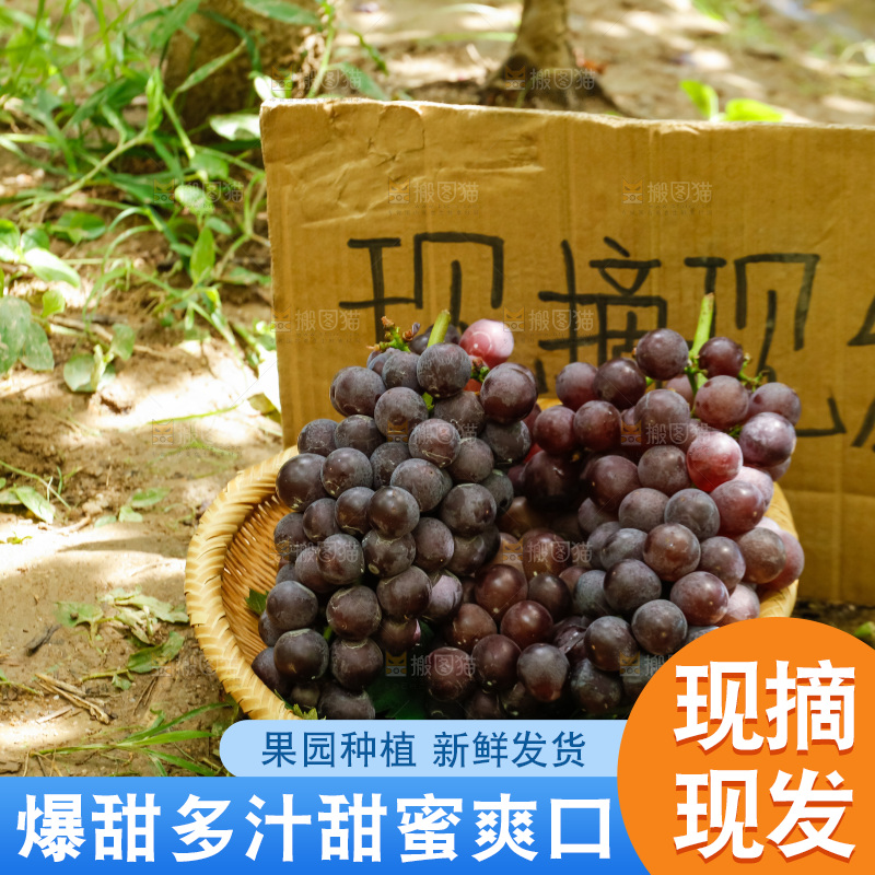 筐子里的新鲜葡萄