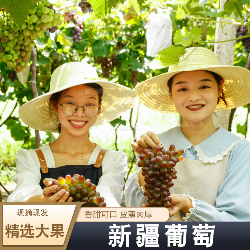 女孩手里拿着现摘葡萄
