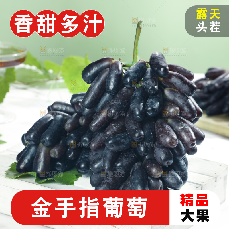 浅底上的美人指葡萄