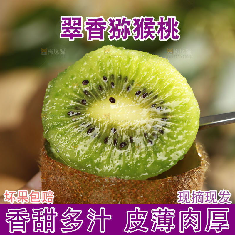 勺子里舀着翠香猕猴桃