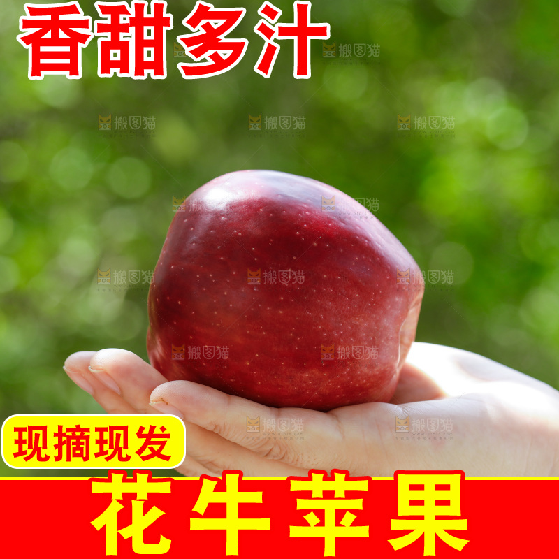 手上放着花牛苹果