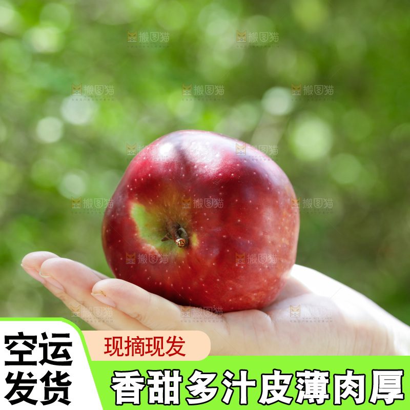 手上放着花牛苹果