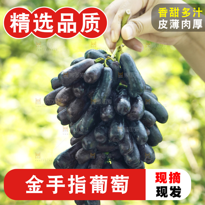 手里拿着一串蓝宝石葡萄