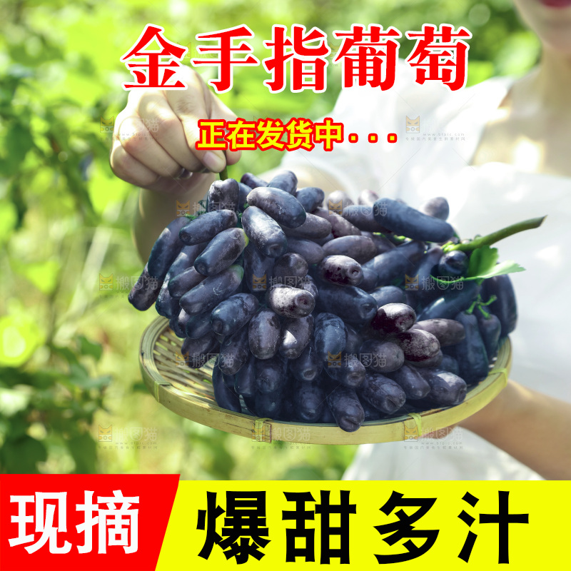 女孩手里的一篮美人指葡萄