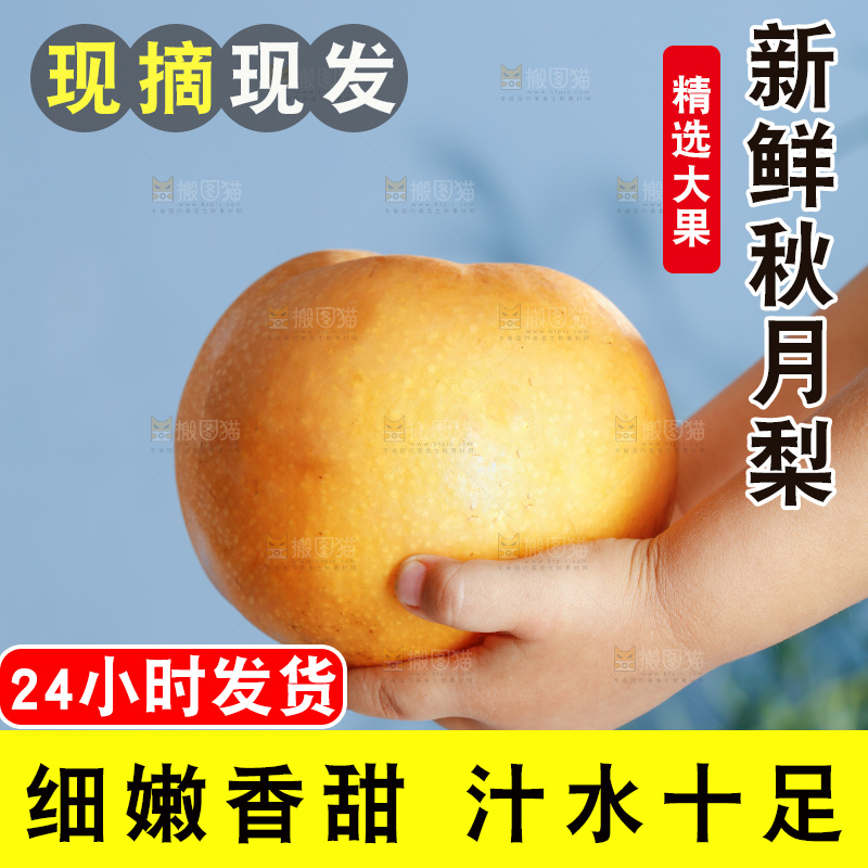 手里拿着莱阳秋月梨