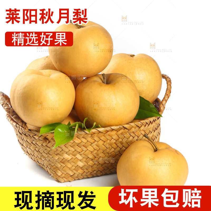 白底上放着一篮秋月梨