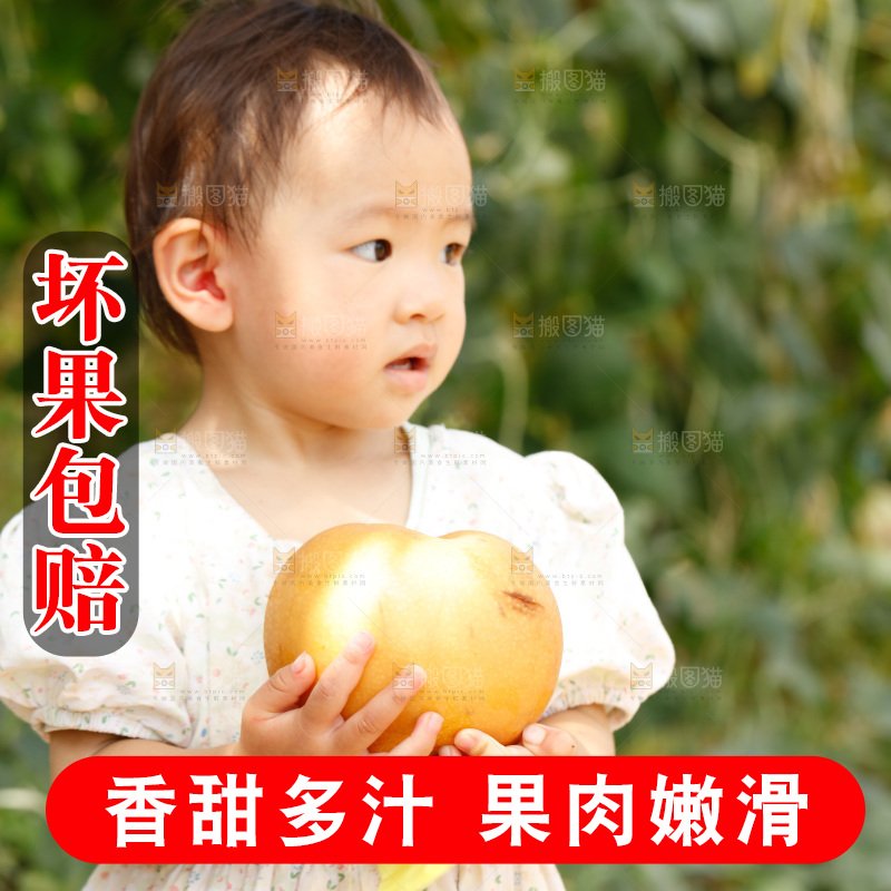 小孩手里拿着秋月梨