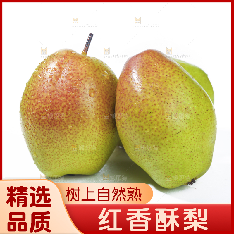 白底上的红香酥梨