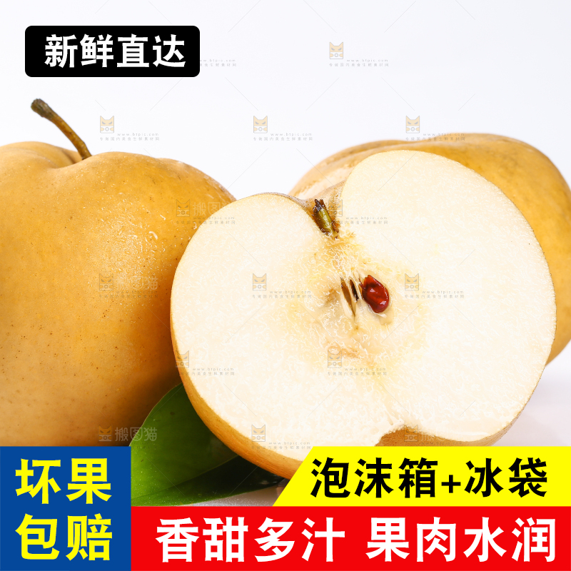 白底上的山东秋月梨