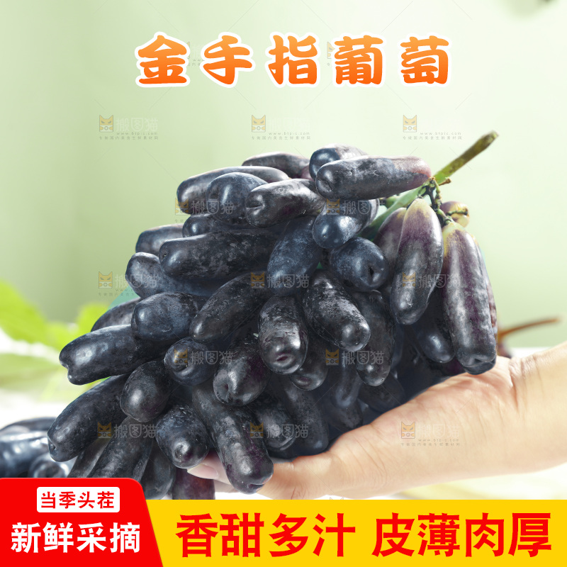 手拿着美人指黑提