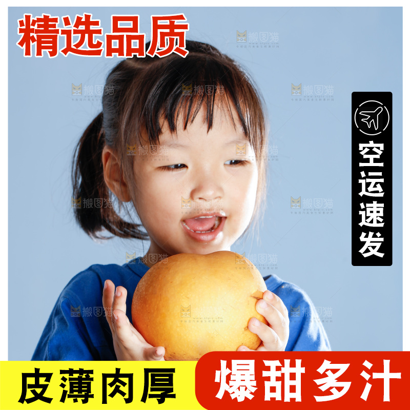 小孩拿着山东秋月梨