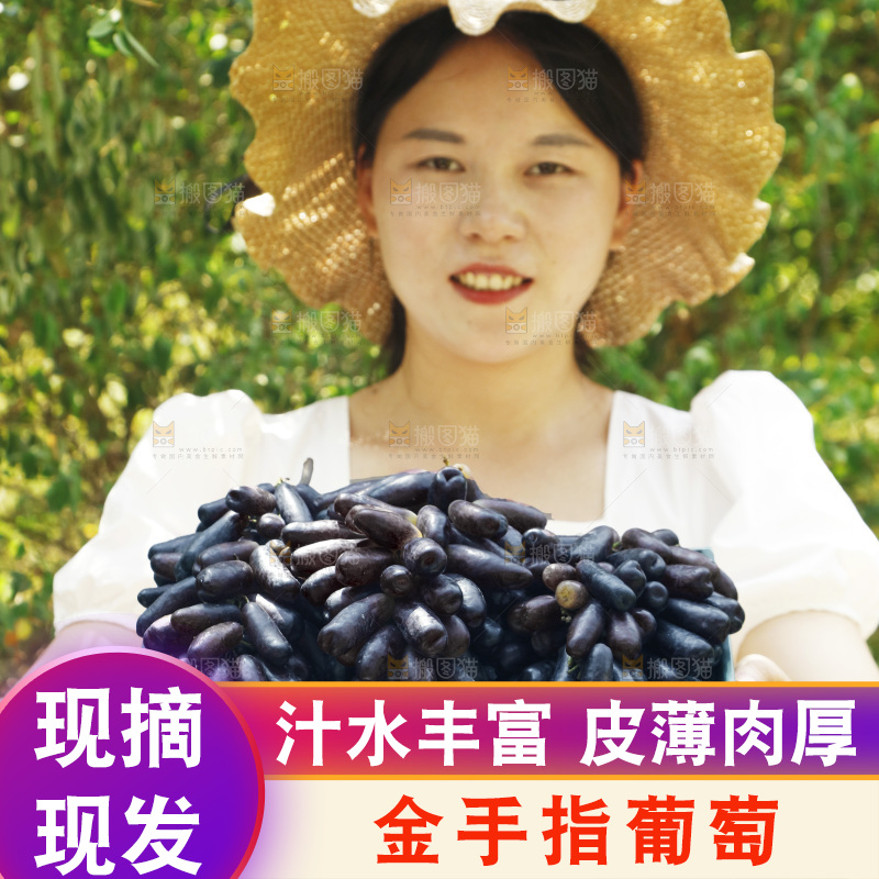 女孩拿着一盒蓝宝石葡萄