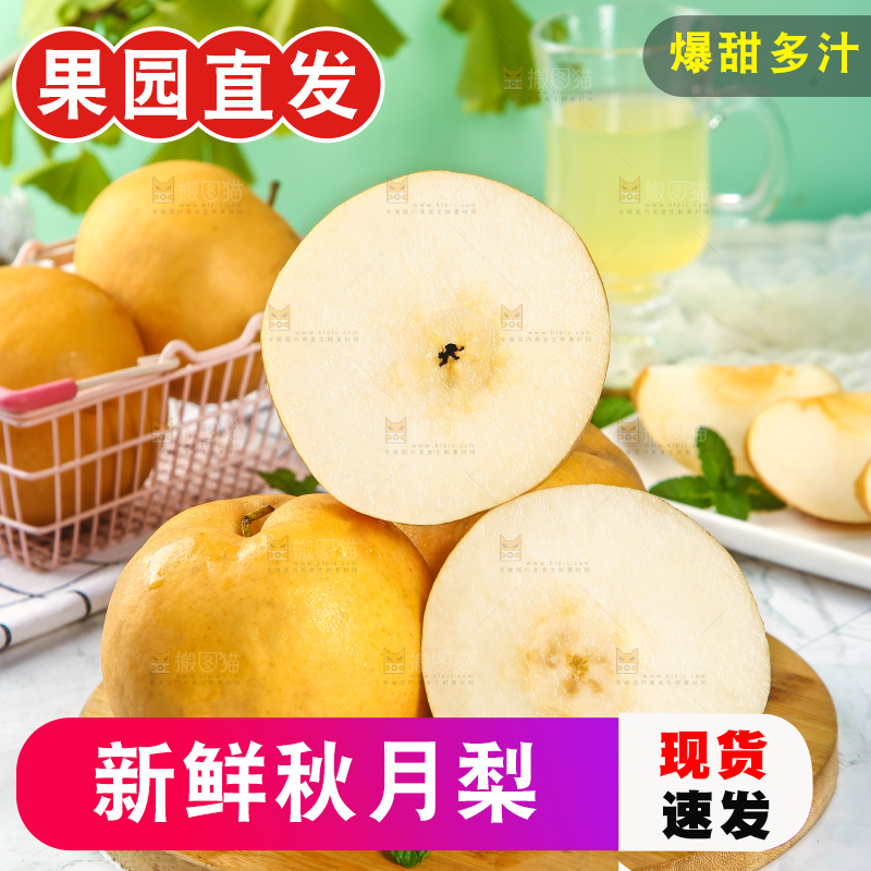 秋月梨主图