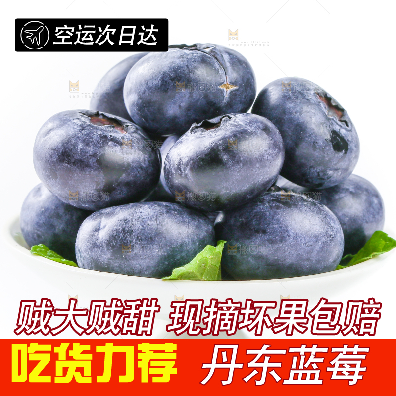 白底上的一碟新鲜蓝莓