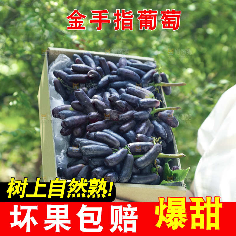 礼品盒里的美人指葡萄