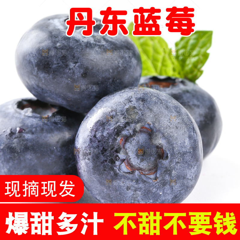 白底上放着的新鲜蓝莓