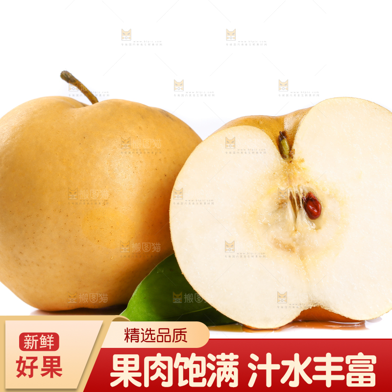 白底上的山东秋月梨