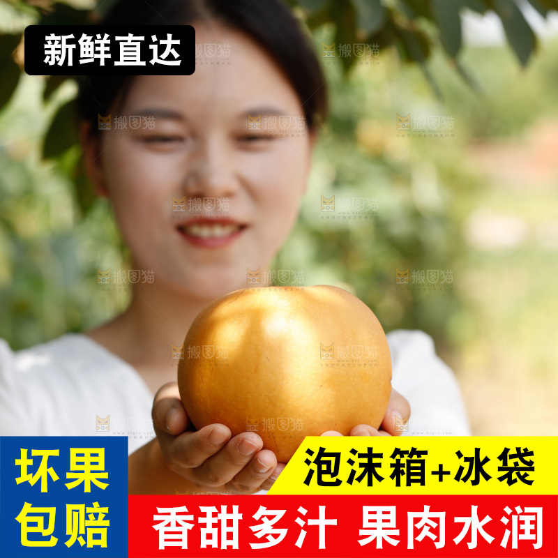 女孩手里拿着山东秋月梨