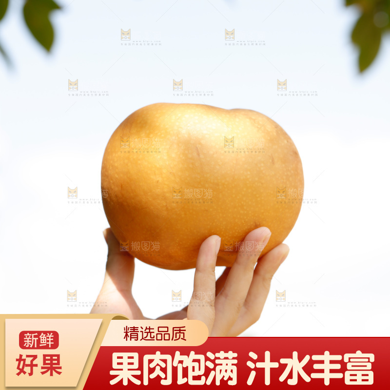手里拿着新鲜秋月梨