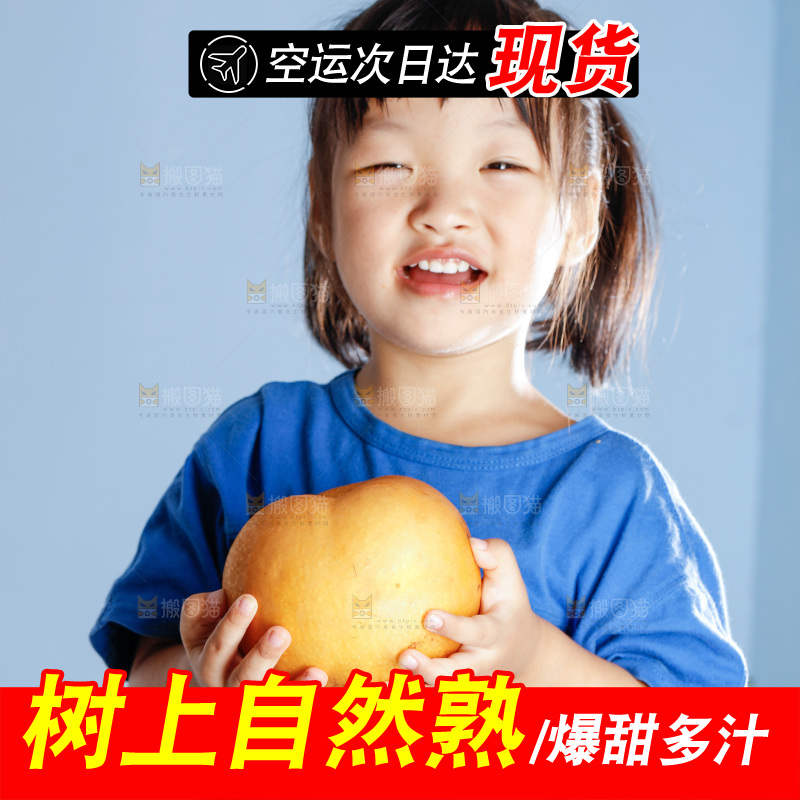 小孩拿着山东秋月梨