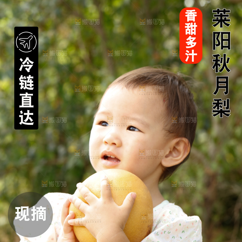 小孩手里拿着秋月梨