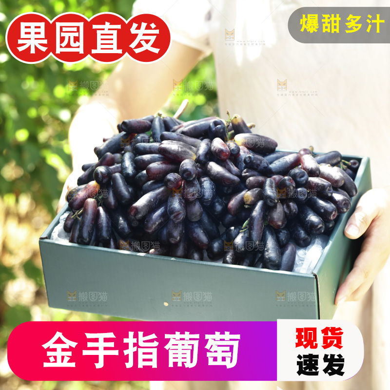 手里拿着礼品盒装的手指葡萄