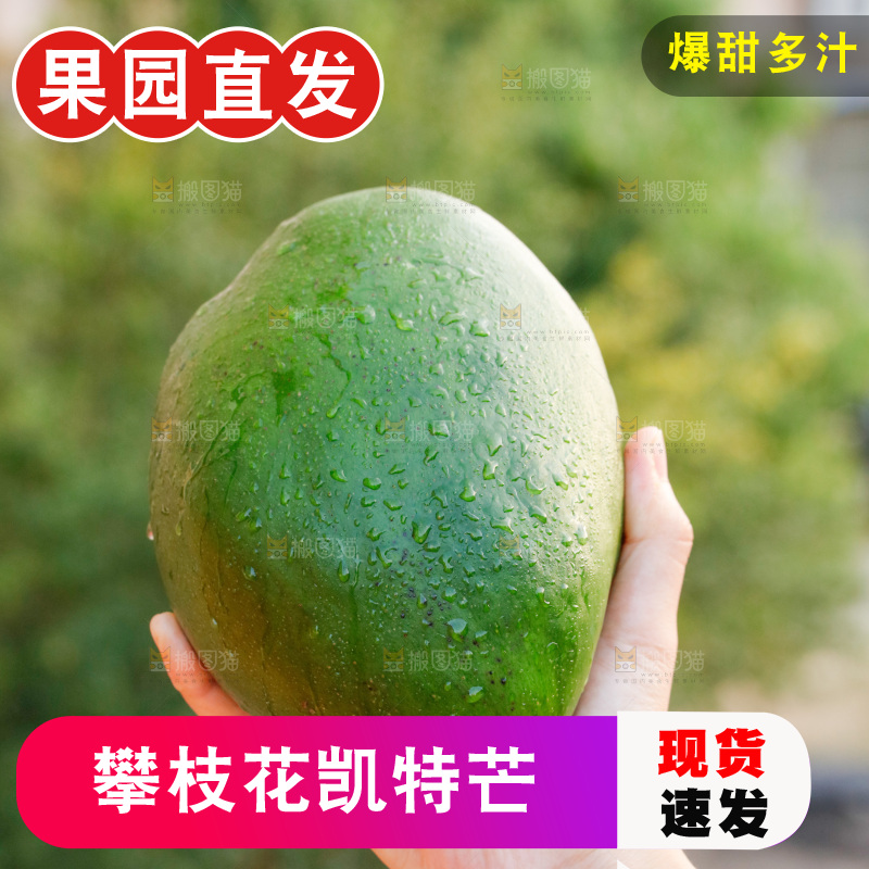 手里拿着青皮凯特芒