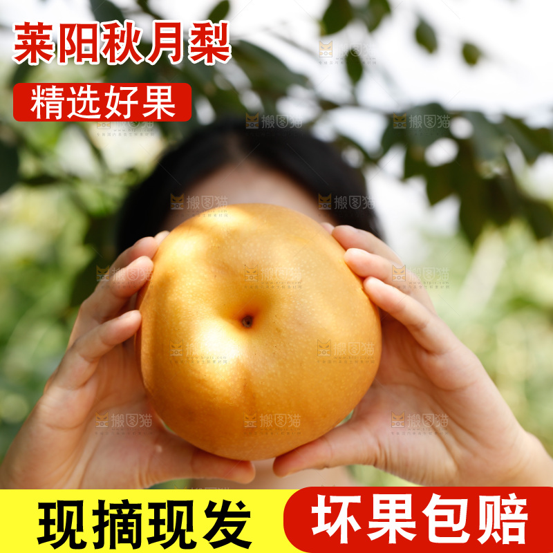 女孩手里拿着山东秋月梨