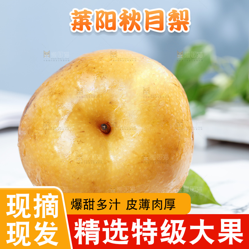 盘子里的莱阳秋月梨