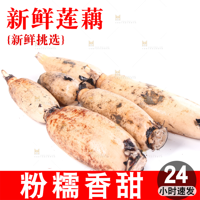白底上放着洪湖莲藕